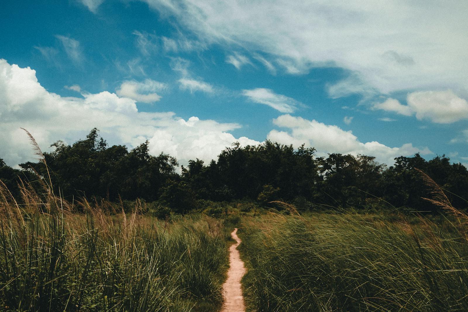 Outdoors & Recreation